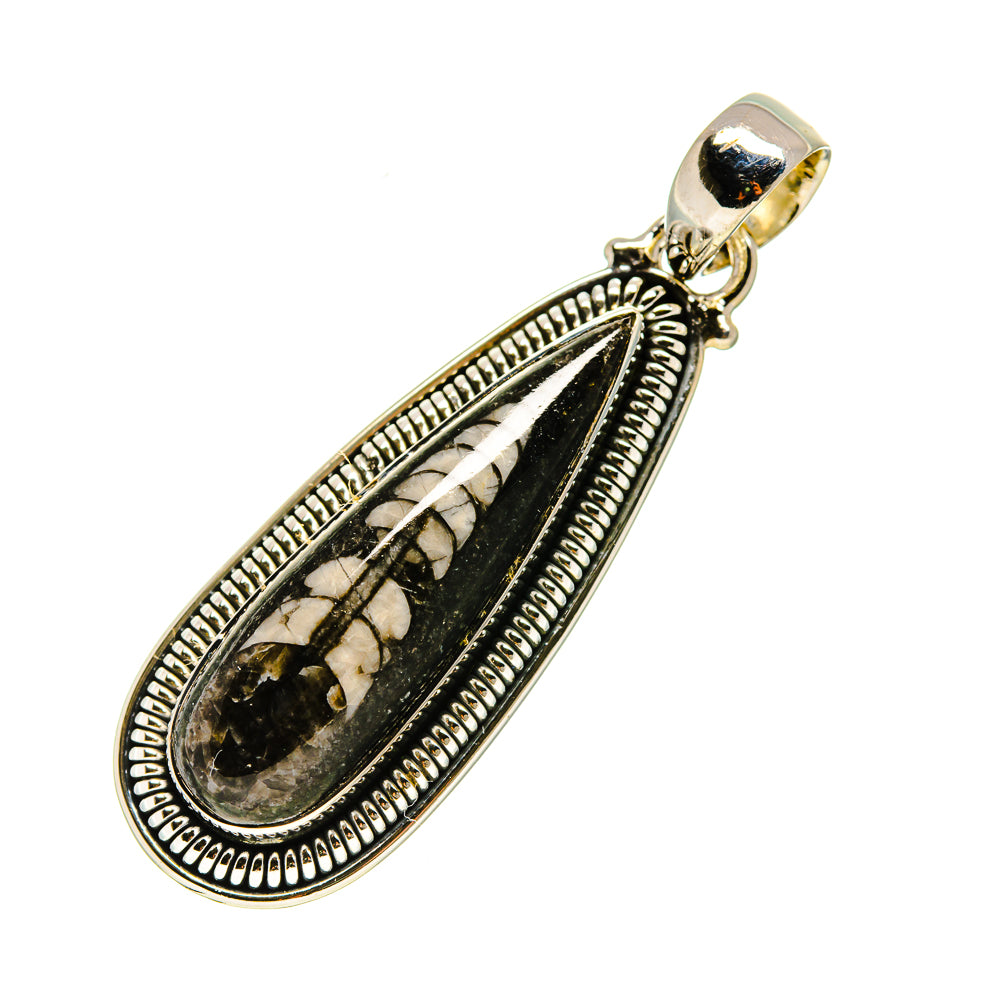 Orthoceras Fossil Pendants handcrafted by Ana Silver Co - PD754472