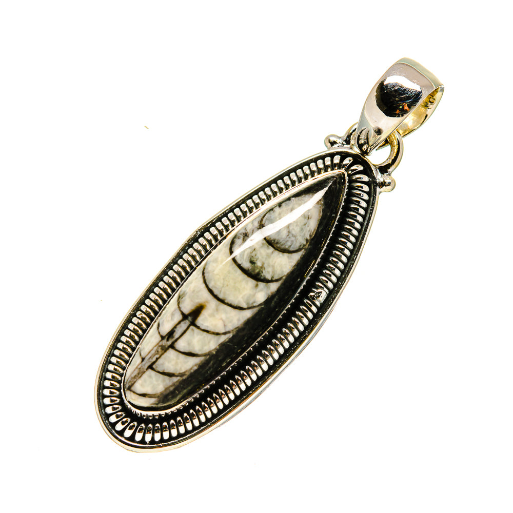 Orthoceras Fossil Pendants handcrafted by Ana Silver Co - PD754486
