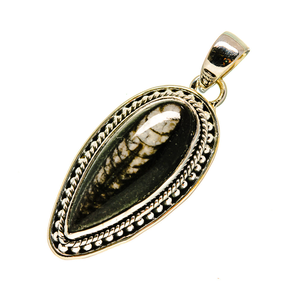 Orthoceras Fossil Pendants handcrafted by Ana Silver Co - PD755170