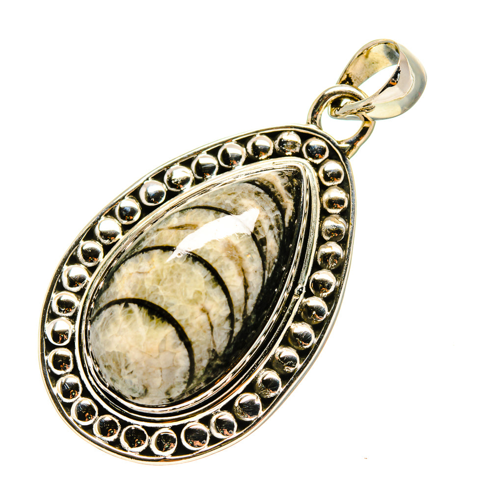 Orthoceras Fossil Pendants handcrafted by Ana Silver Co - PD755191