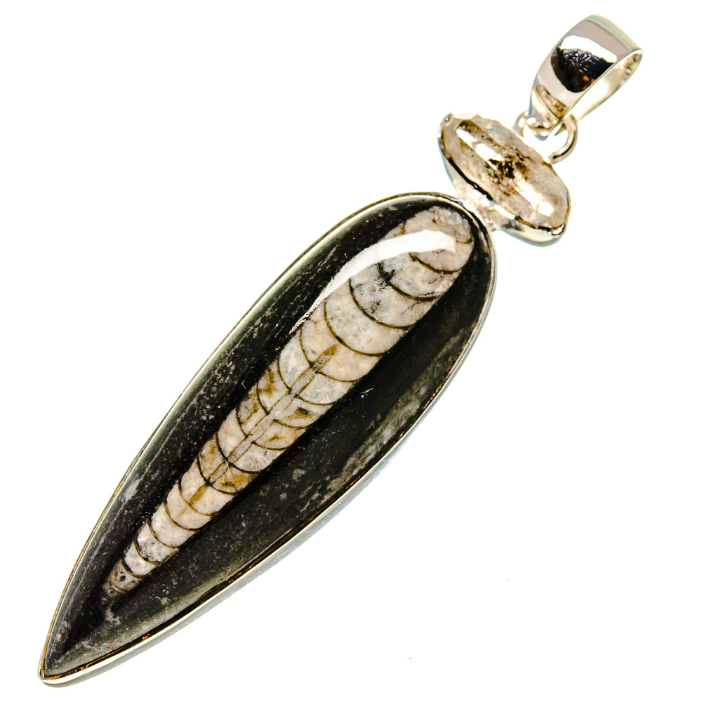 Orthoceras Fossil Pendants handcrafted by Ana Silver Co - PD755328