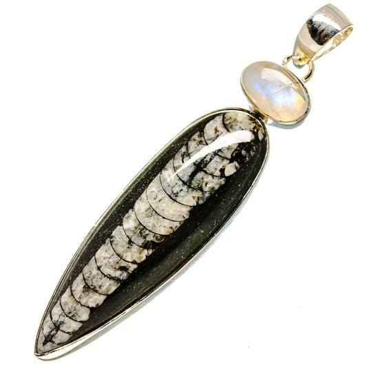 Orthoceras Fossil Pendants handcrafted by Ana Silver Co - PD755329