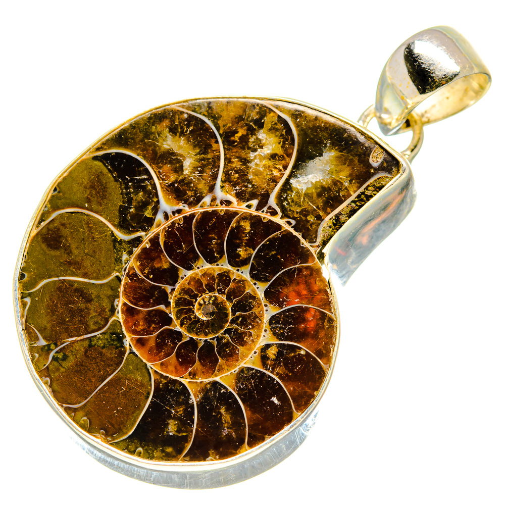Ammonite Fossil Pendants handcrafted by Ana Silver Co - PD755340
