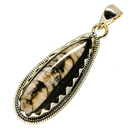 Orthoceras Fossil Pendants handcrafted by Ana Silver Co - PD755613