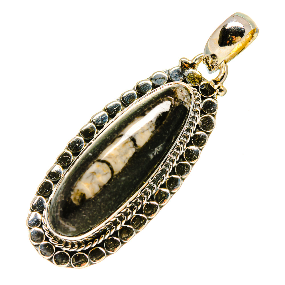 Orthoceras Fossil Pendants handcrafted by Ana Silver Co - PD755873