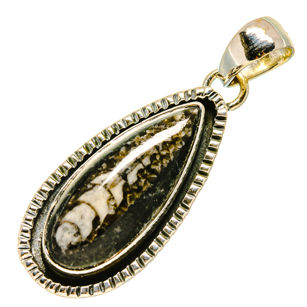 Orthoceras Fossil Pendants handcrafted by Ana Silver Co - PD755903