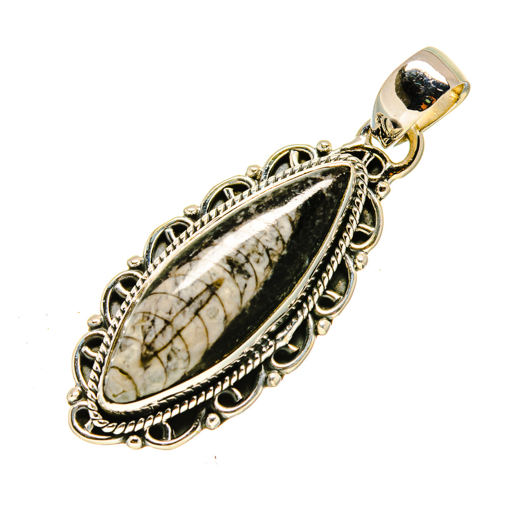 Orthoceras Fossil Pendants handcrafted by Ana Silver Co - PD756110