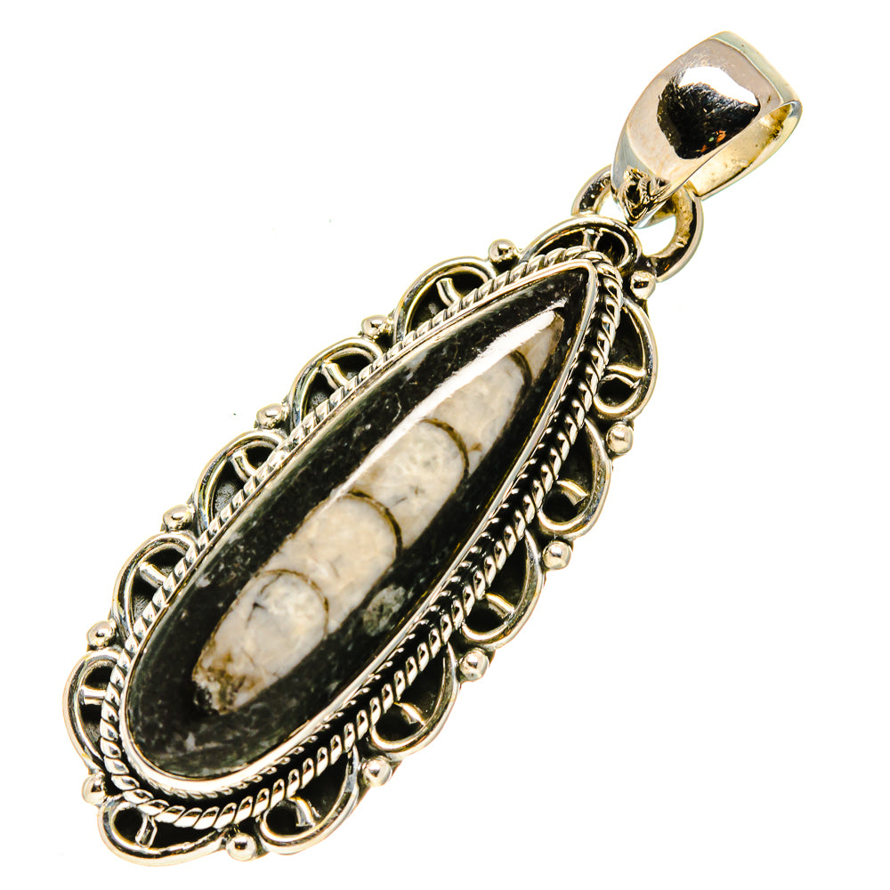 Orthoceras Fossil Pendants handcrafted by Ana Silver Co - PD756167