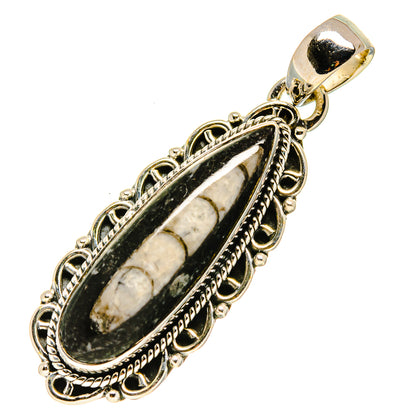 Orthoceras Fossil Pendants handcrafted by Ana Silver Co - PD756167