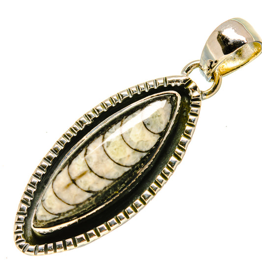 Orthoceras Fossil Pendants handcrafted by Ana Silver Co - PD756237