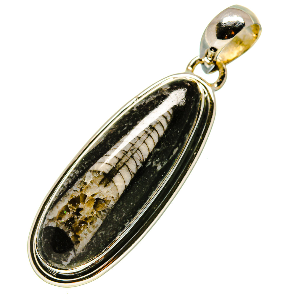 Orthoceras Fossil Pendants handcrafted by Ana Silver Co - PD756289