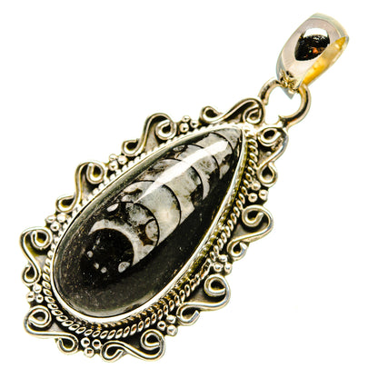 Orthoceras Fossil Pendants handcrafted by Ana Silver Co - PD756404