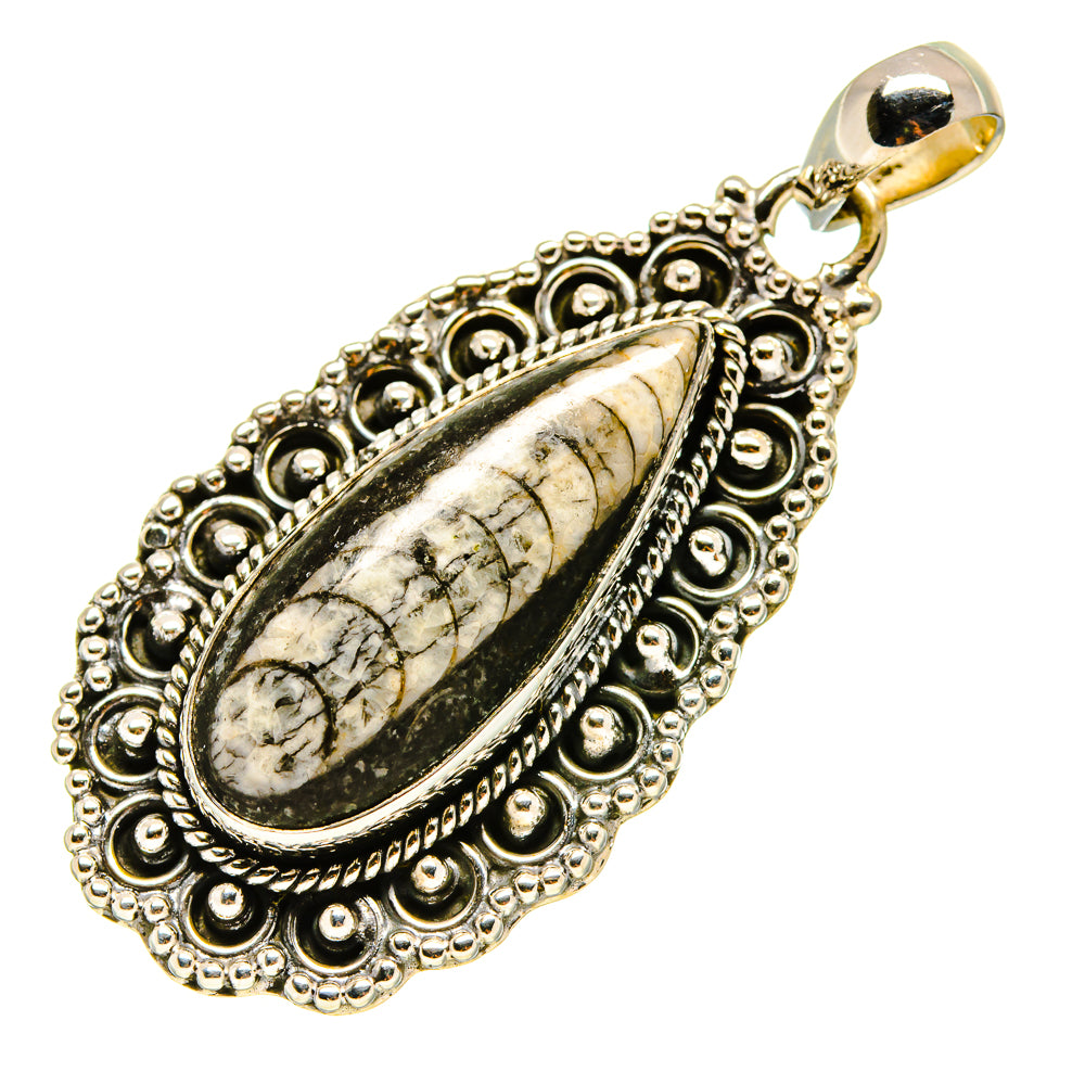 Orthoceras Fossil Pendants handcrafted by Ana Silver Co - PD756486