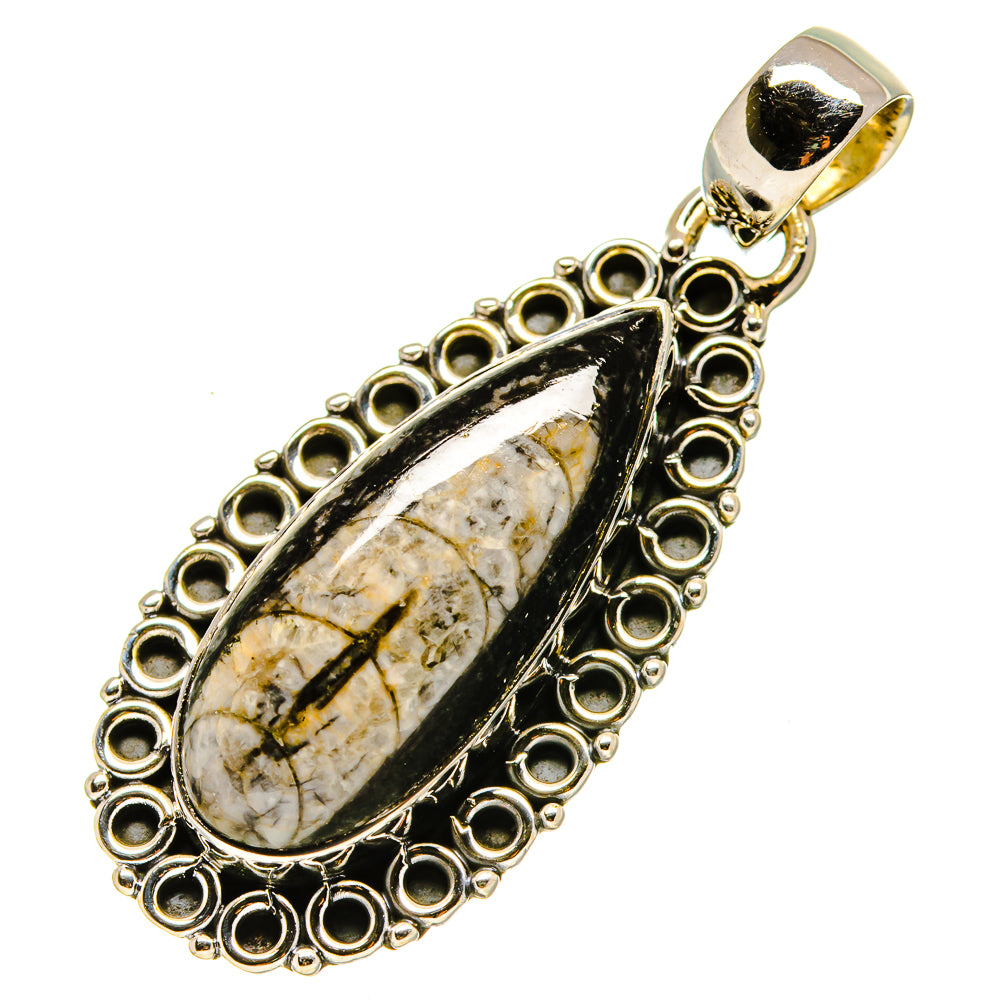 Orthoceras Fossil Pendants handcrafted by Ana Silver Co - PD756526