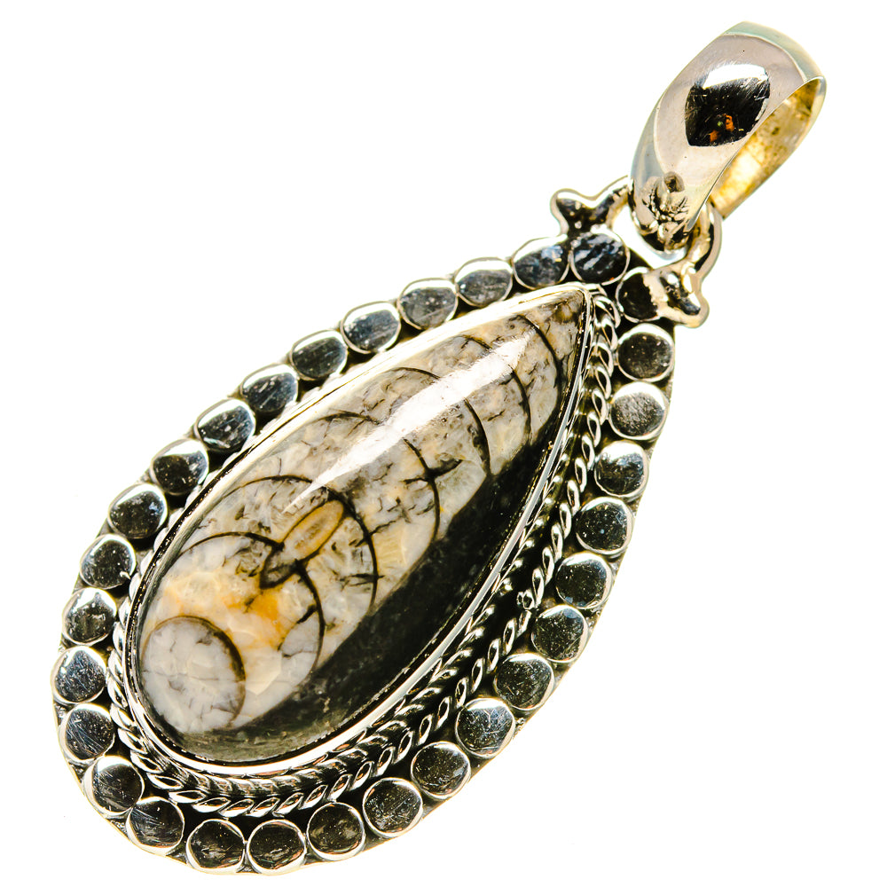 Orthoceras Fossil Pendants handcrafted by Ana Silver Co - PD756561