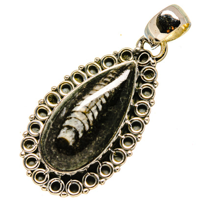 Orthoceras Fossil Pendants handcrafted by Ana Silver Co - PD756584