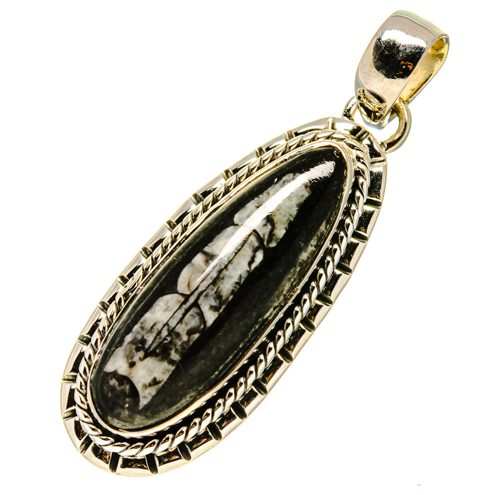 Orthoceras Fossil Pendants handcrafted by Ana Silver Co - PD756754