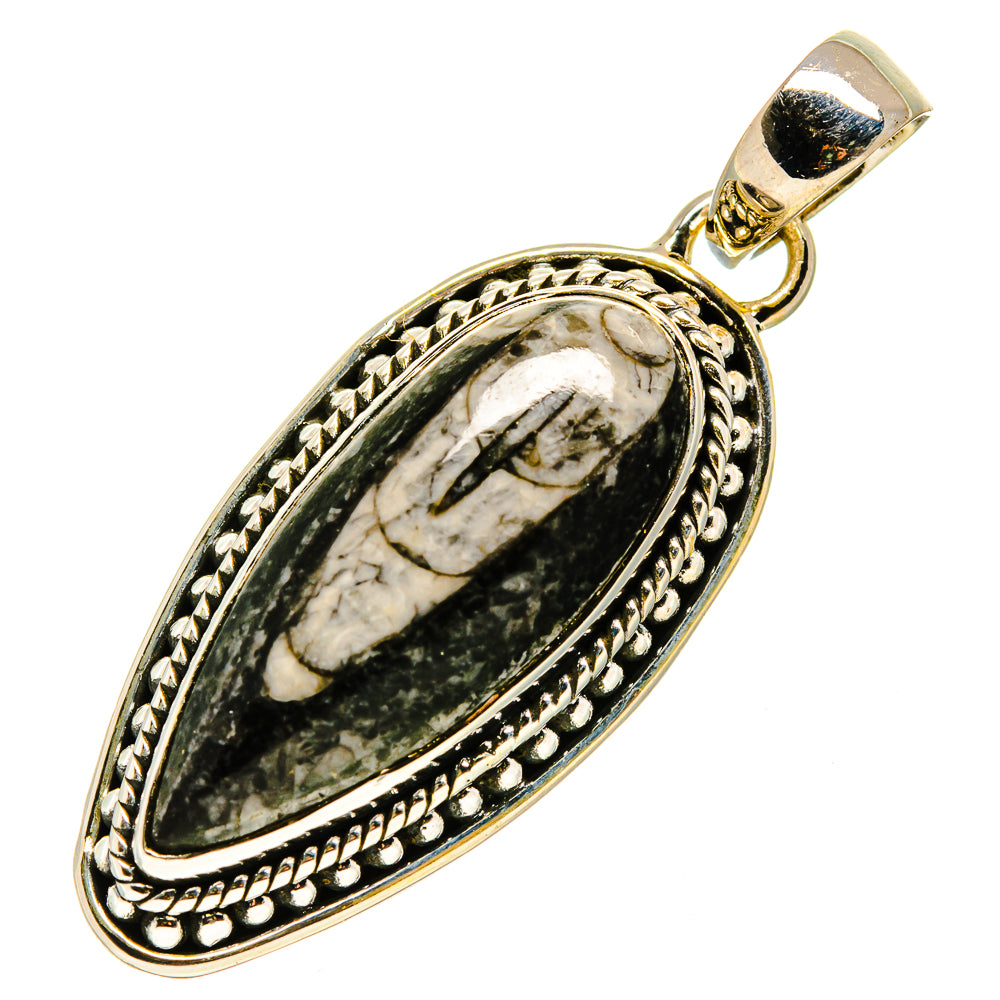 Orthoceras Fossil Pendants handcrafted by Ana Silver Co - PD756755