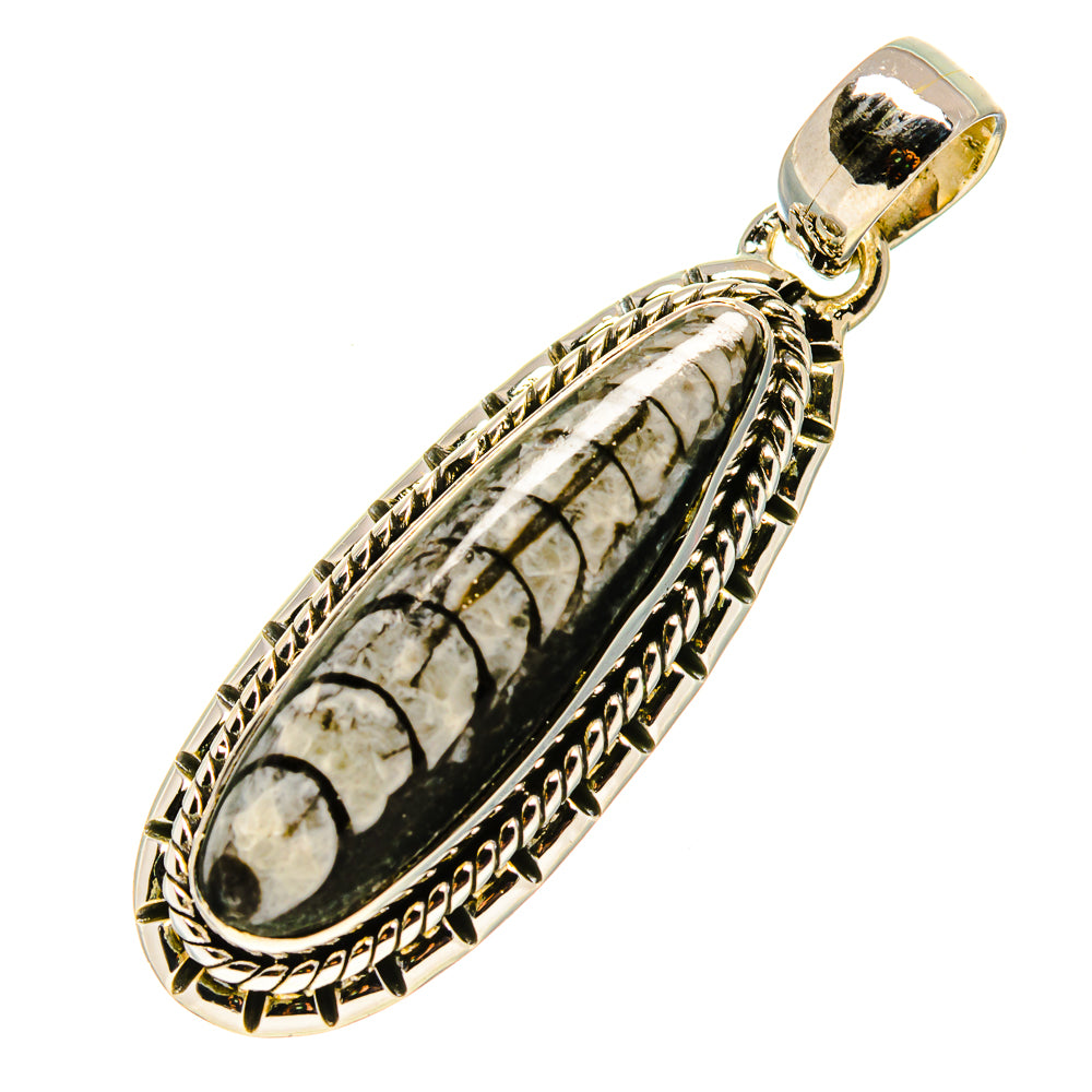 Orthoceras Fossil Pendants handcrafted by Ana Silver Co - PD756756