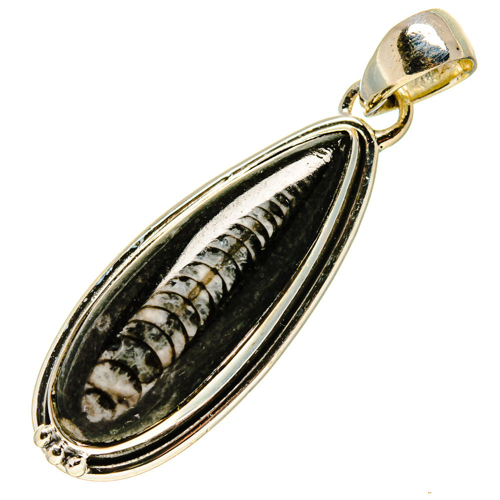 Orthoceras Fossil Pendants handcrafted by Ana Silver Co - PD756786