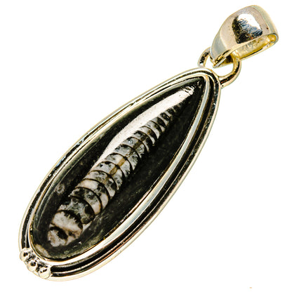 Orthoceras Fossil Pendants handcrafted by Ana Silver Co - PD756786