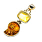 Ammonite Fossil Pendants handcrafted by Ana Silver Co - PD757000
