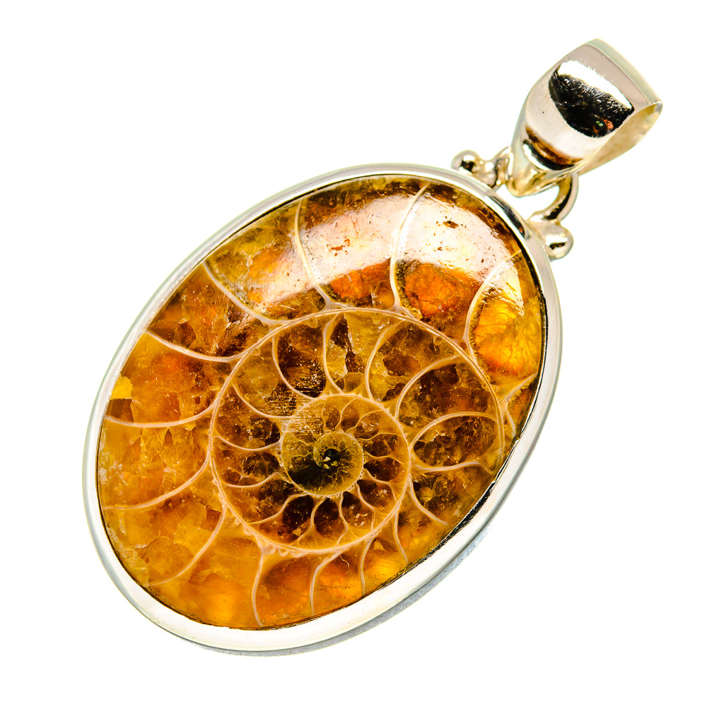 Ammonite fossil pendant with round amber ammonite fossil in silver setting and bail