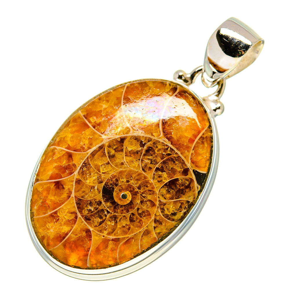 Ammonite Fossil Pendants handcrafted by Ana Silver Co - PD757517