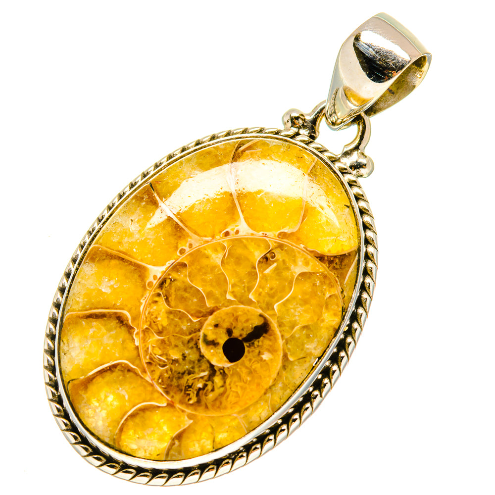 Ammonite fossil pendant in 925 sterling silver, oval amber stone with spiral detail