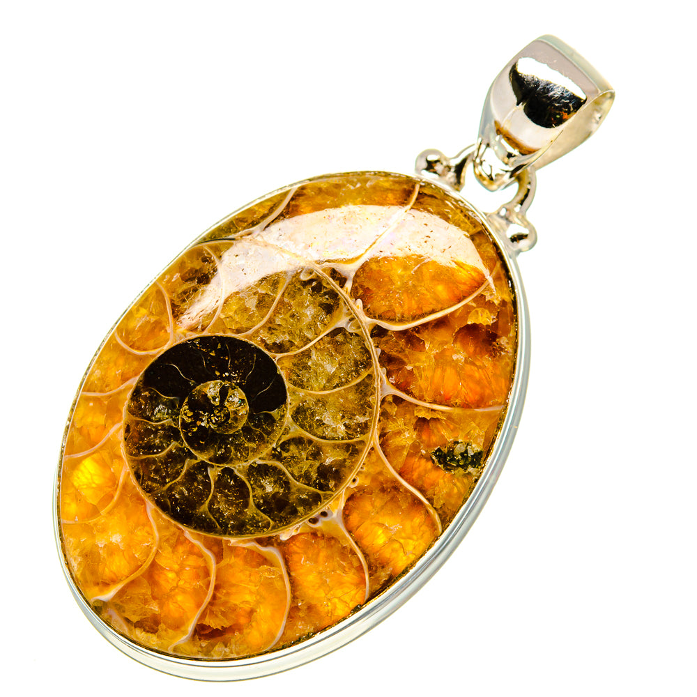 Ammonite fossil pendant with teardrop amber fossil in silver setting and top loop