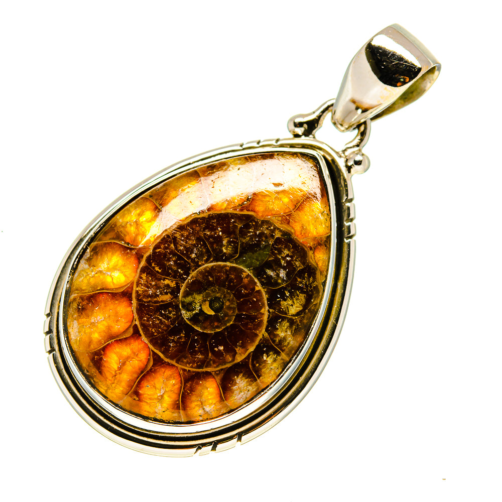 Ammonite Fossil Pendants handcrafted by Ana Silver Co - PD758192