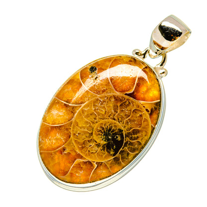 Ammonite fossil pendant, oval amber fossil in silver setting and loop bail
