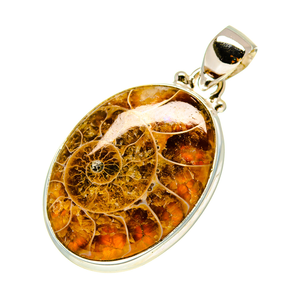 Ammonite fossil pendant, teardrop bezel of polished sterling silver with brown fossil stone