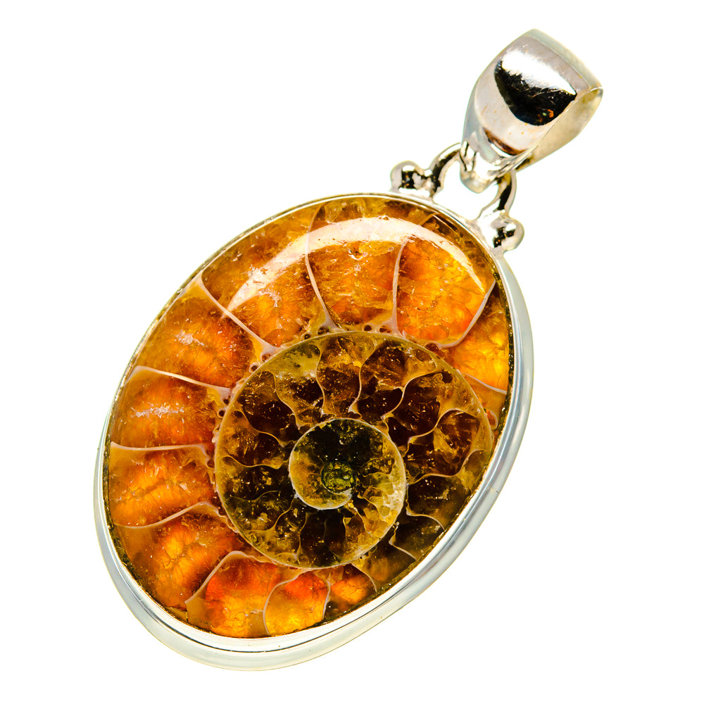 Ammonite Fossil Pendants handcrafted by Ana Silver Co - PD758679