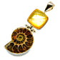 Ammonite Fossil Pendants handcrafted by Ana Silver Co - PD758982