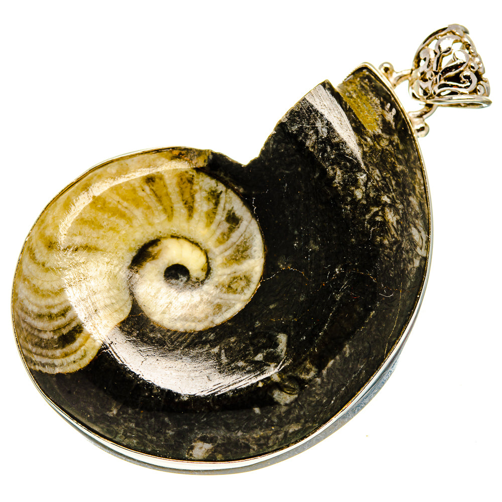 Orthoceras Fossil Pendants handcrafted by Ana Silver Co - PD759255
