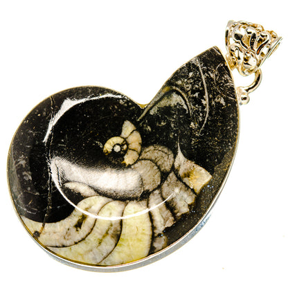 Orthoceras Fossil Pendants handcrafted by Ana Silver Co - PD759256