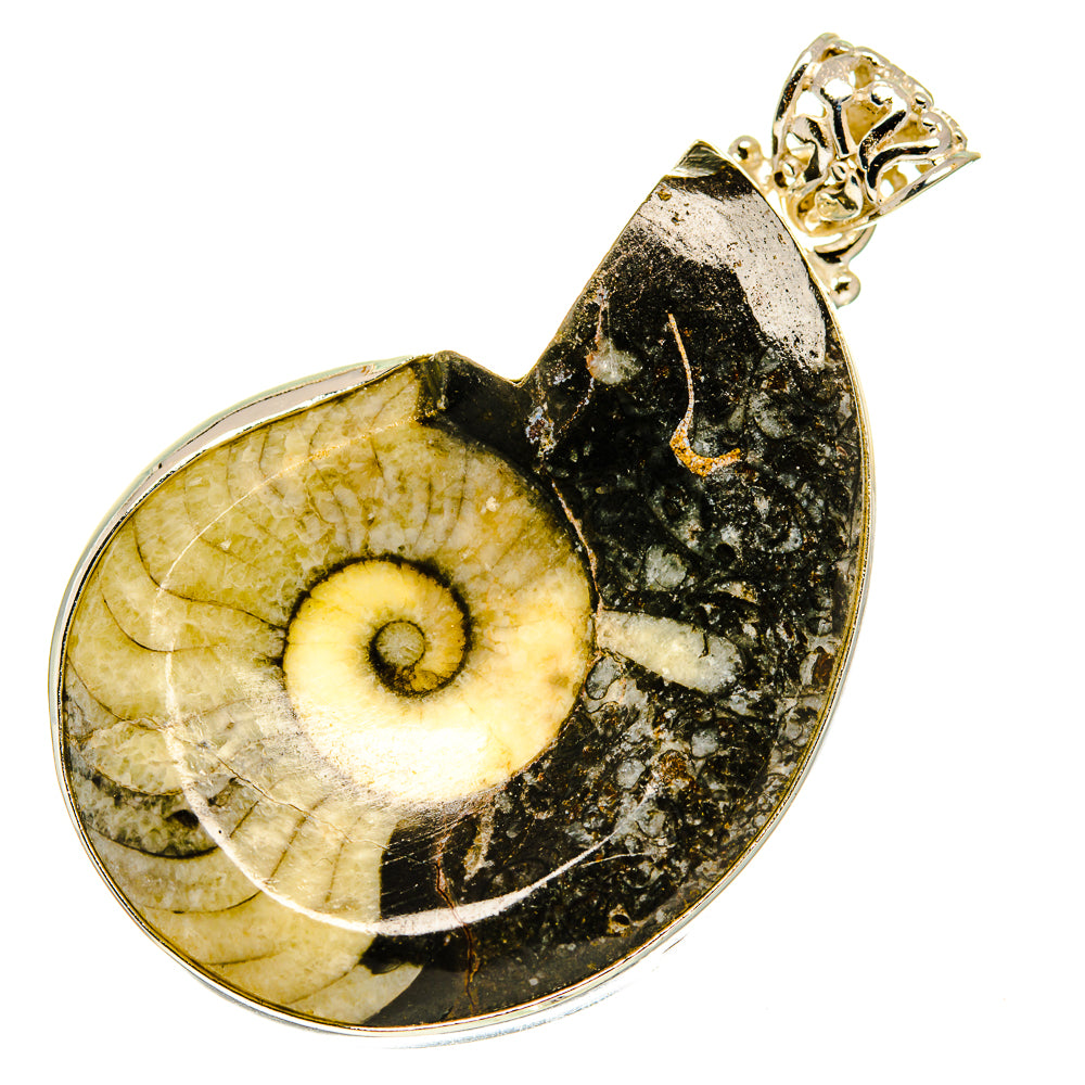 Orthoceras Fossil Pendants handcrafted by Ana Silver Co - PD760275