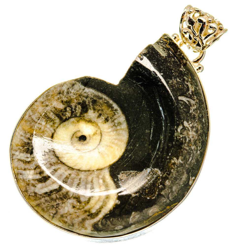 Orthoceras Fossil Pendants handcrafted by Ana Silver Co - PD760536