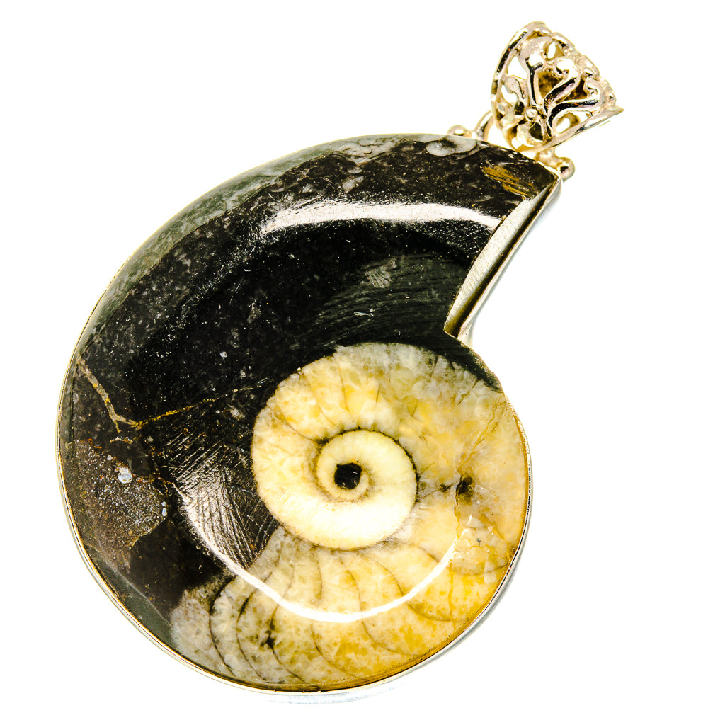 Orthoceras Fossil Pendants handcrafted by Ana Silver Co - PD760795