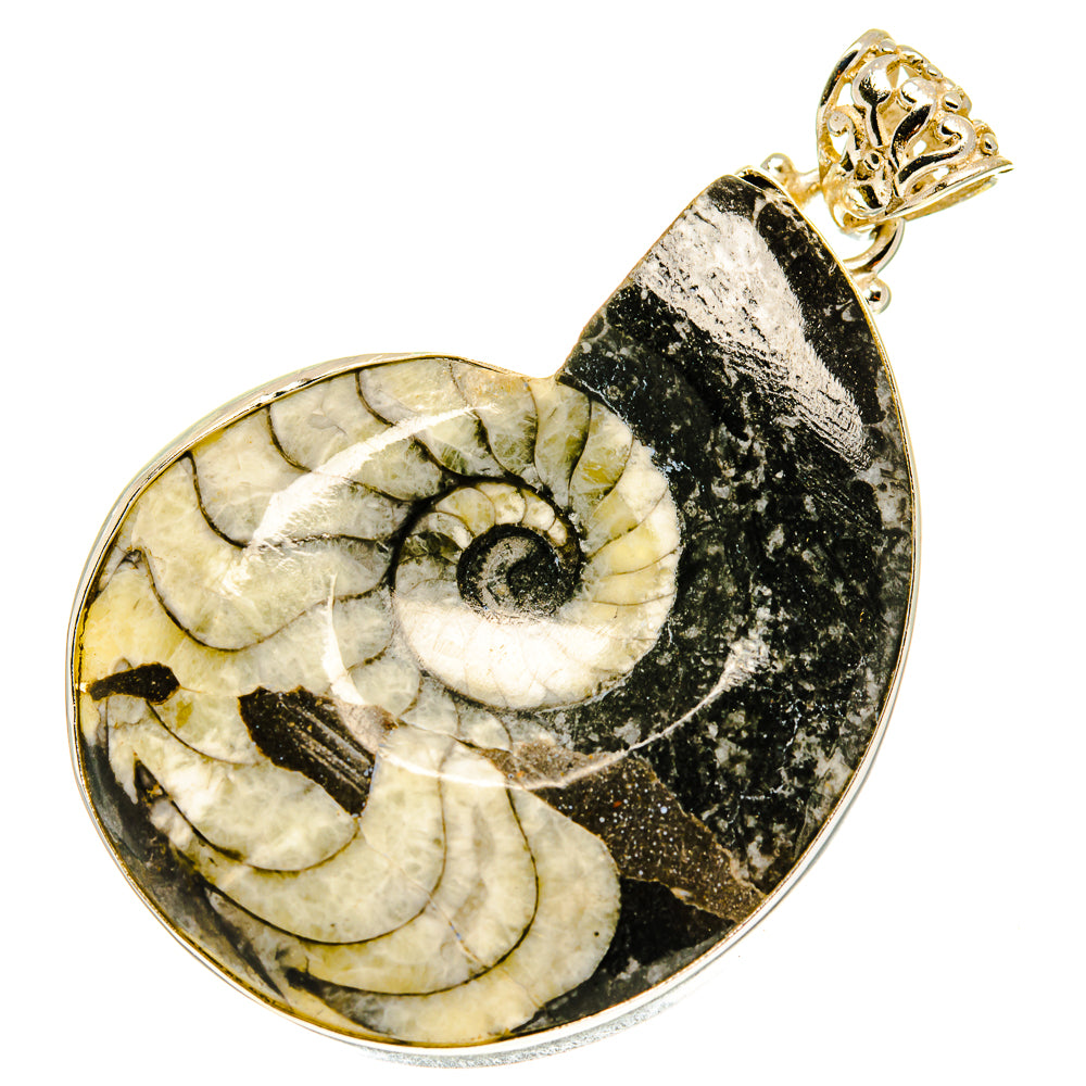 Orthoceras Fossil Pendants handcrafted by Ana Silver Co - PD760930