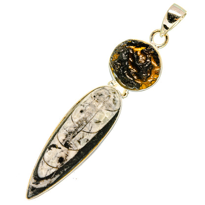 Orthoceras Fossil Pendants handcrafted by Ana Silver Co - PD8525