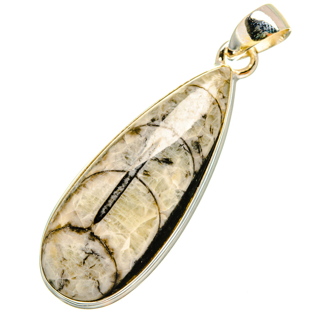 Orthoceras Fossil Pendants handcrafted by Ana Silver Co - PD8722