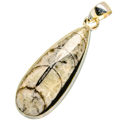 Orthoceras Fossil Pendants handcrafted by Ana Silver Co - PD8722