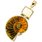 Ammonite Fossil Pendants handcrafted by Ana Silver Co - PD8734