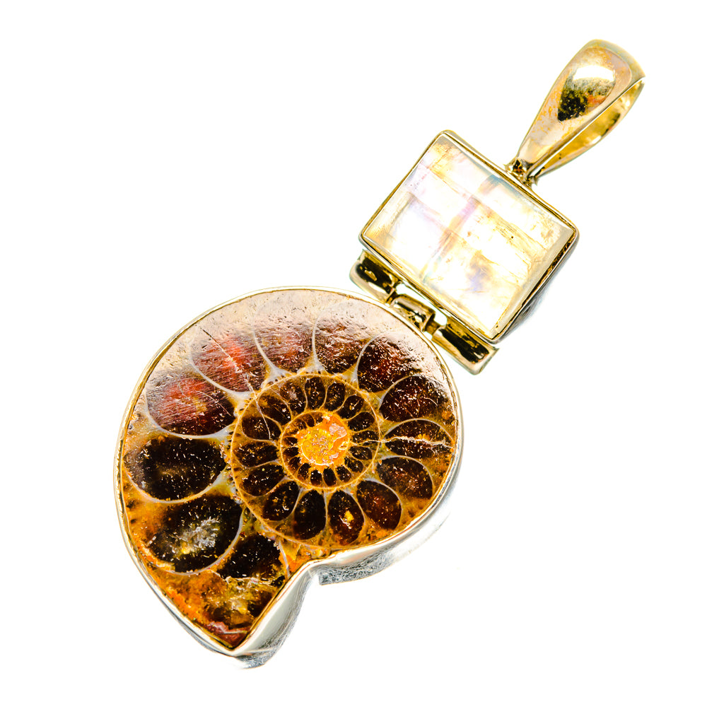 Ammonite Fossil Pendants handcrafted by Ana Silver Co - PD8736