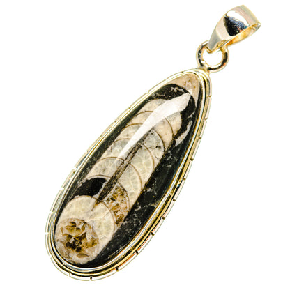 Orthoceras Fossil Pendants handcrafted by Ana Silver Co - PD8759