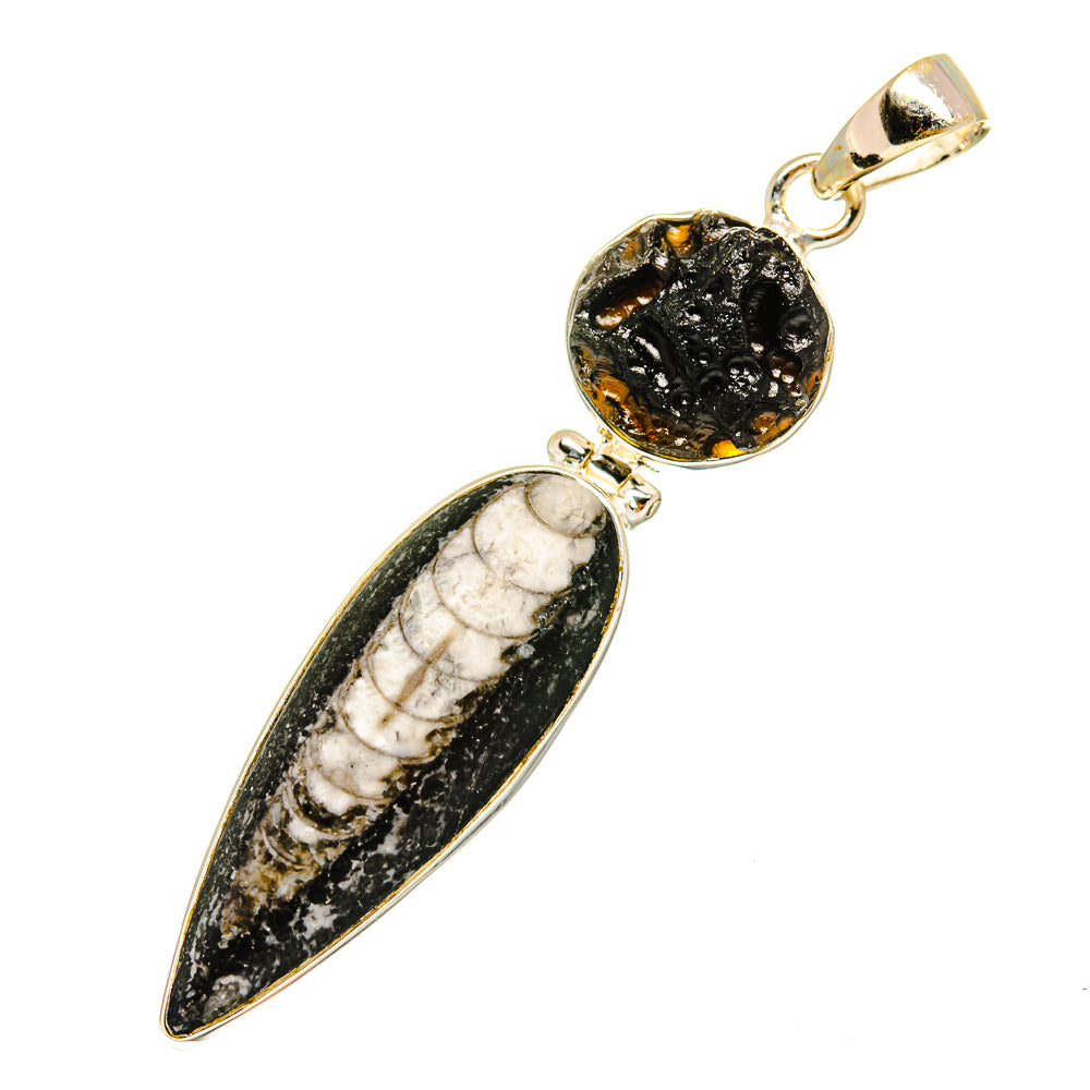 Orthoceras Fossil Pendants handcrafted by Ana Silver Co - PD8803