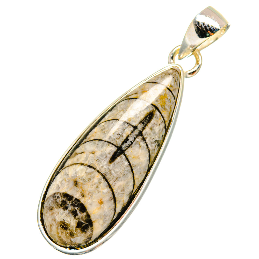 Orthoceras Fossil Pendants handcrafted by Ana Silver Co - PD8804