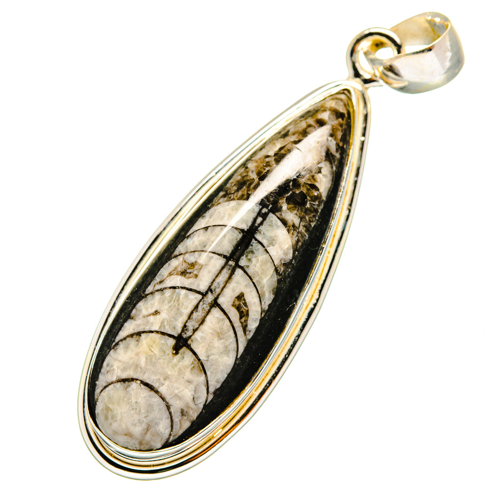 Orthoceras Fossil Pendants handcrafted by Ana Silver Co - PD8805